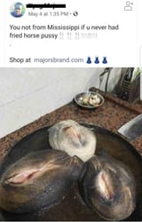 12095483056802398