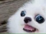 1000001064