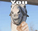 (you)