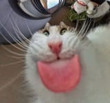 3245234