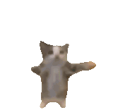 1708561728123677