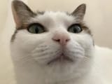 1747066950409141
