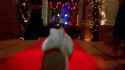 son of the mask HD_thumb.jpg