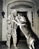 lon-chaney-jr-as-the-mummy