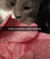 1705386736072593