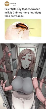 cockroach milk