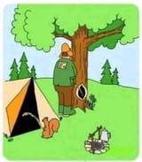 forest piss
