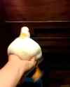 1752988195152477_thumb.jpg