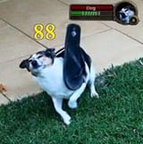 1752125149807242