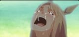 crying mule