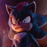 shadow-found-a-new-enemy-v0-mf93f4kkvfrd1