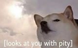 1636580937661