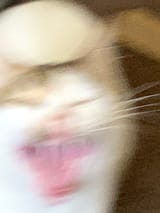 1726031881952496