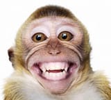 Funny-Monkey-Smiling-Face-Image