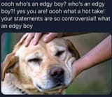 Eor31_jXYAIjl7S