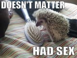doesn&#039;t matter, had sex