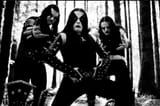 suddenly immortal