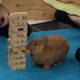1508914407328