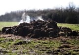 steaming pile of shit