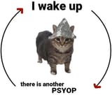 the_cat