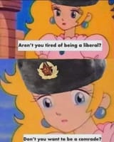 1735310930362098