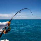 DSC04351_535x