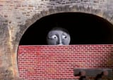 I&#039;M SORRY PLEASE LET ME OUT