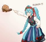 Miku bober