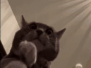 213214198
