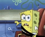 wtf-spongebob