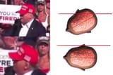 1736169100737496