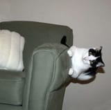 gravity has shifted yet again