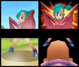 Bulma DS