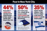 fear-in-nyc-jewish-1