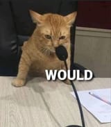 1742835796973676