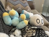chao beheaded