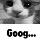 people-are-leaving-this-sub-we-have-lost-already-2k-members-v0-yfvaoa65iste1