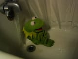 kermit scared