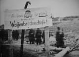 As thanks for unproven Brotherhood in Arms