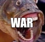 WAR-2