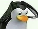 1739303039267930