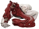 Cerberus