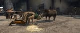 Kingdom Come Deliverance II Screenshot 2025.03.01 - 15.11.36.57