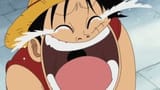 luffy laugh