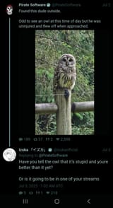 Owl