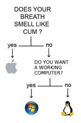windows vs linux v mac