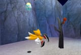 tails throw