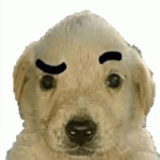 1731938955650164