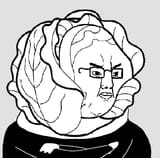 cabbage