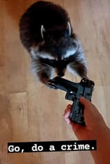 go_do_a_crime